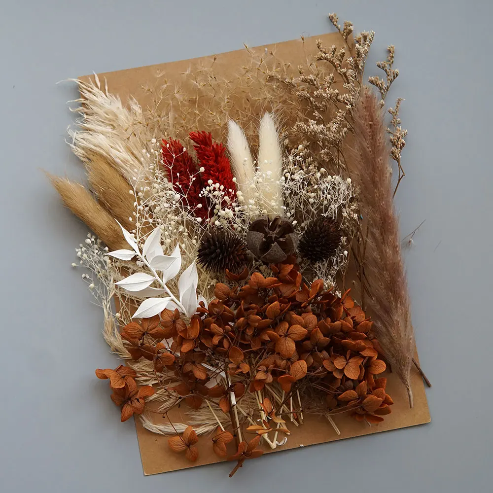 

Набор сухих цветов гортензий