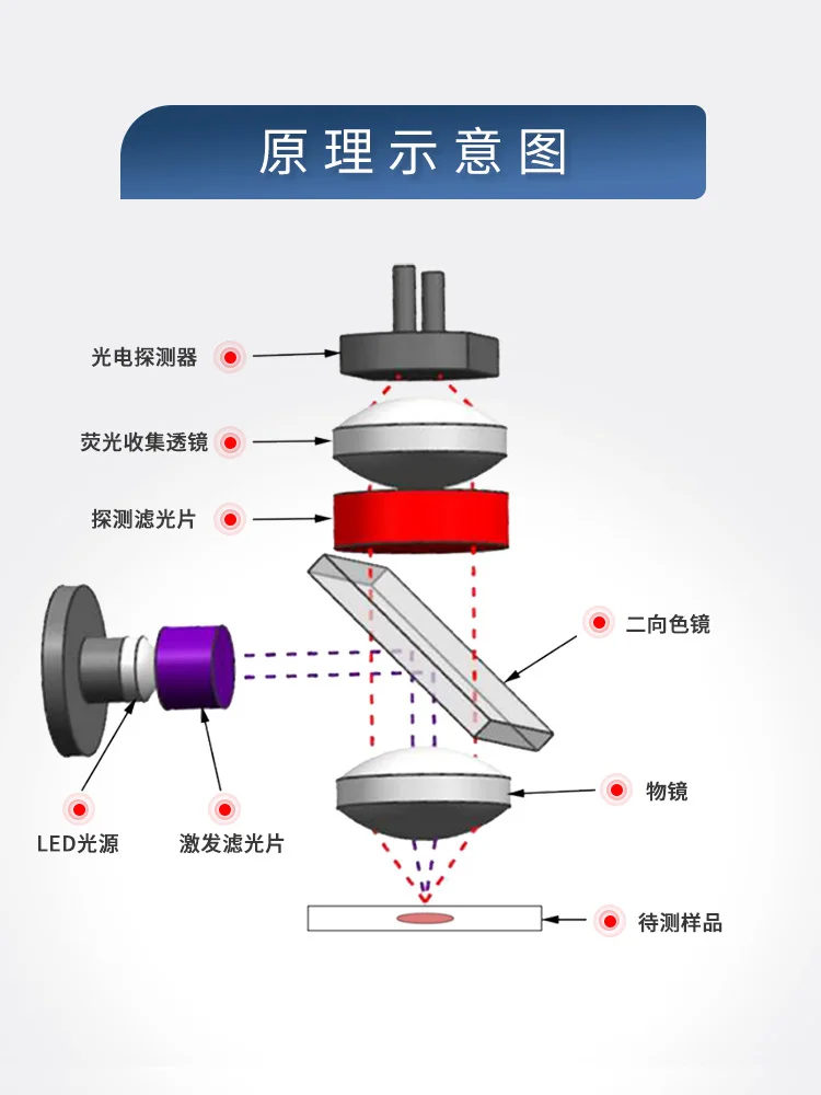 Модуль детектора флуоресценции PCR датчик POCT яичная кислота иммунная клетка