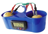 fruit clock fruit battery clock potato clock fruit electronic clock childrens primary and secondary school scientific