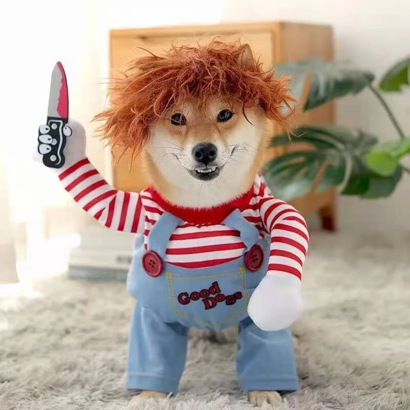 

Cat and Dog Funny Clothing Pets Are Funny and Mischievous Dogs Are Holding Knives and Clothes Pet Creative Clothing