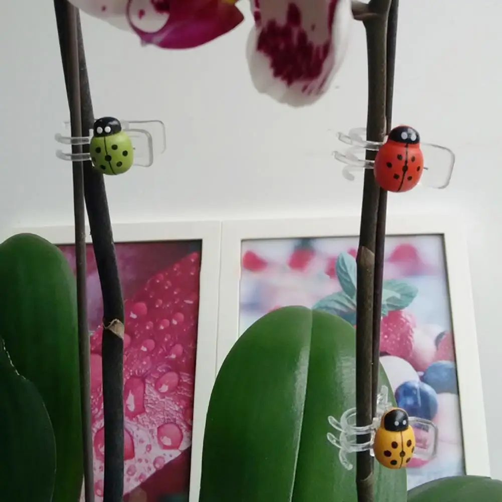 

Portable 30Pcs/Bag Practical Plastic Garden Plant Fixing Clip Solid Plant Support Clip Stylish Design for Yard