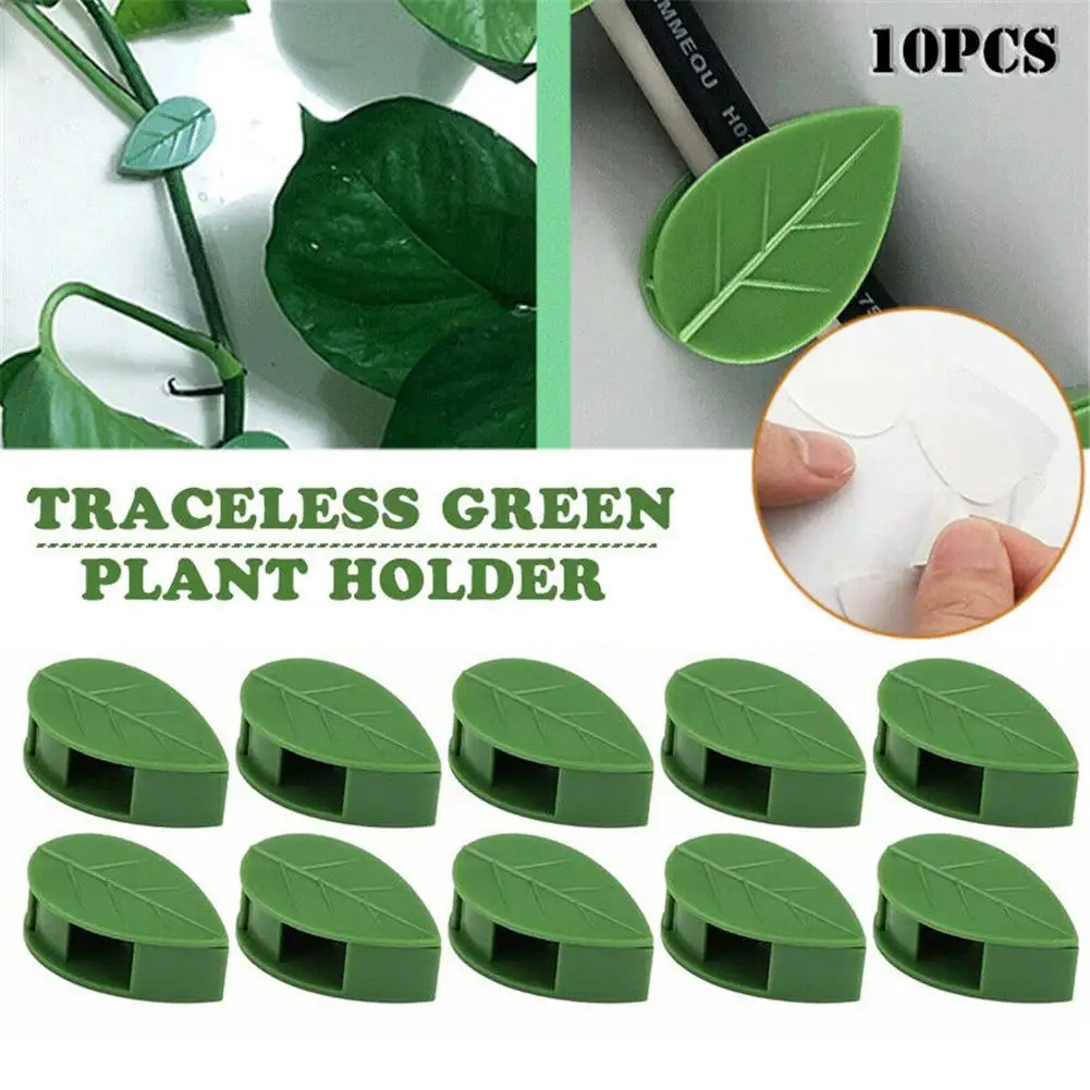 

10pcs Plant Climbing Wall Fixed Clips Invisible Self-adhesive Vine Hook Bracket Home Furnishing Cables Wire Organize Fixing Snap