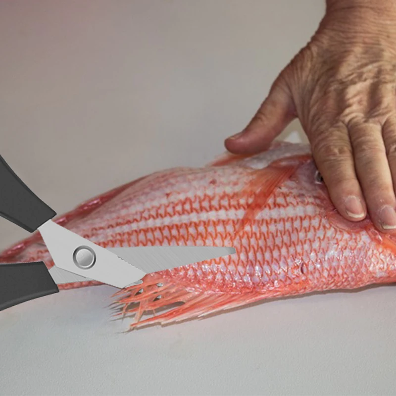 ORJD Carp Fishing Scissors Stainless Steel braid Fishing Pliers Fishing Accessories Tools for Fishing Line Cutter Scissors