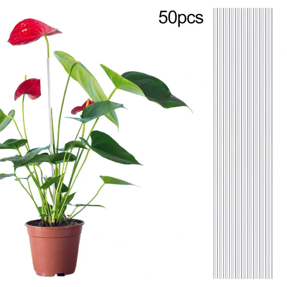 

Long-lasting Plant Support Stakes Flexible Acrylic Plant Stakes Enhance Growth Support Strengthen Garden Plants with for Indoor