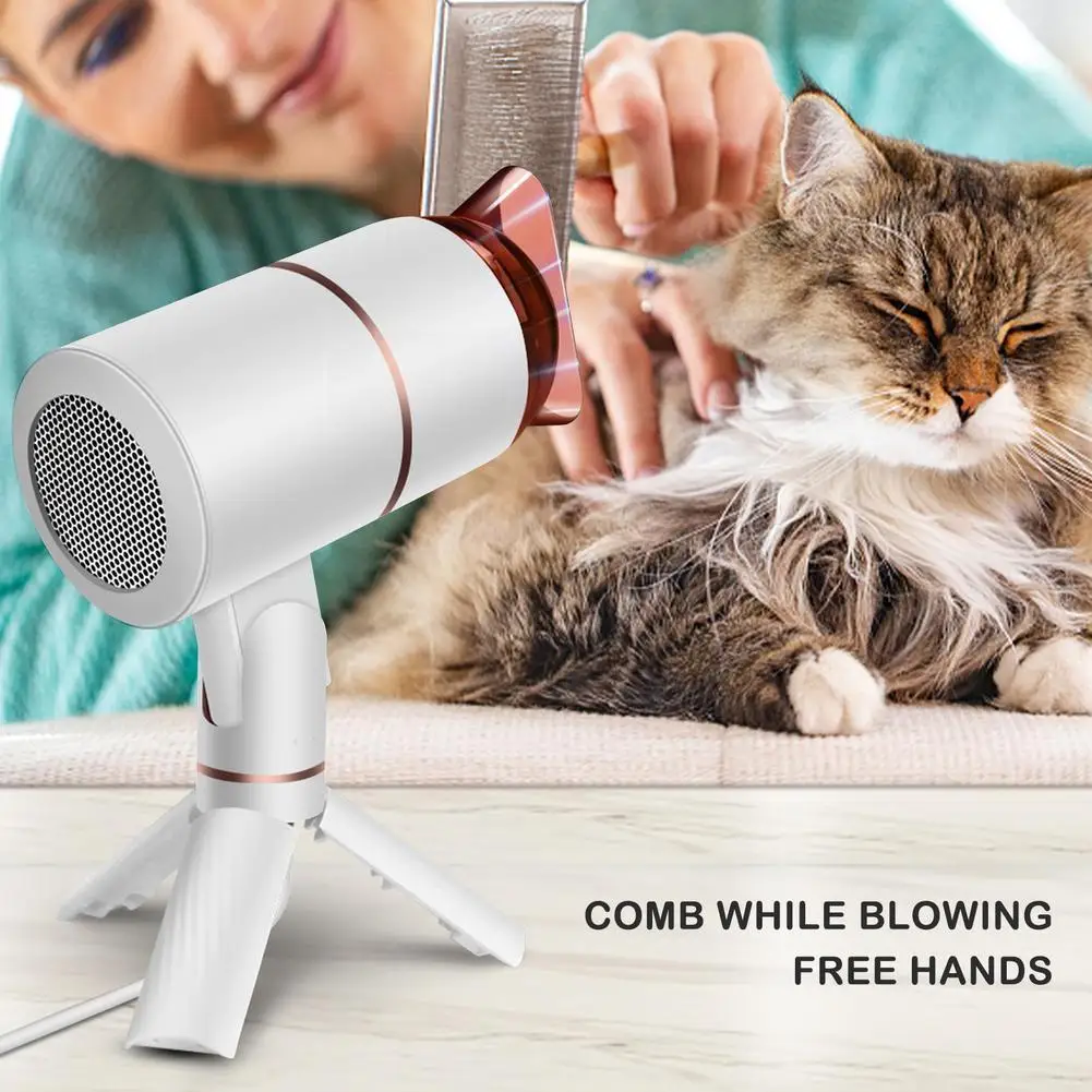 

1000w Professional Powerful Hair Dryer Fast Heating Dryer Collecting With Adjustment Air Hot Cold Air Blow Nozzel Ionic And K8e9