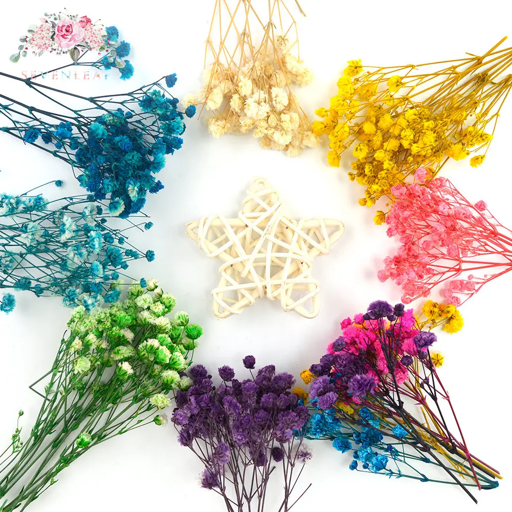 

10g Million Star Dried Flowers Nature Babysbreath Accessories for Home Decorwedding Room Decoration Materiales Holiday Gifts