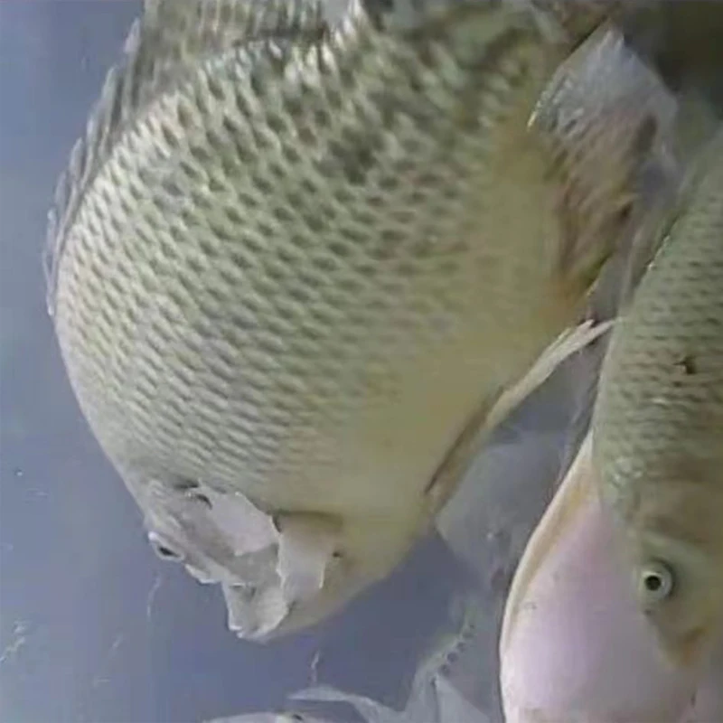 Подводная камера для рыбалки 20 м HD запись видео визуальное рыболовное устройство