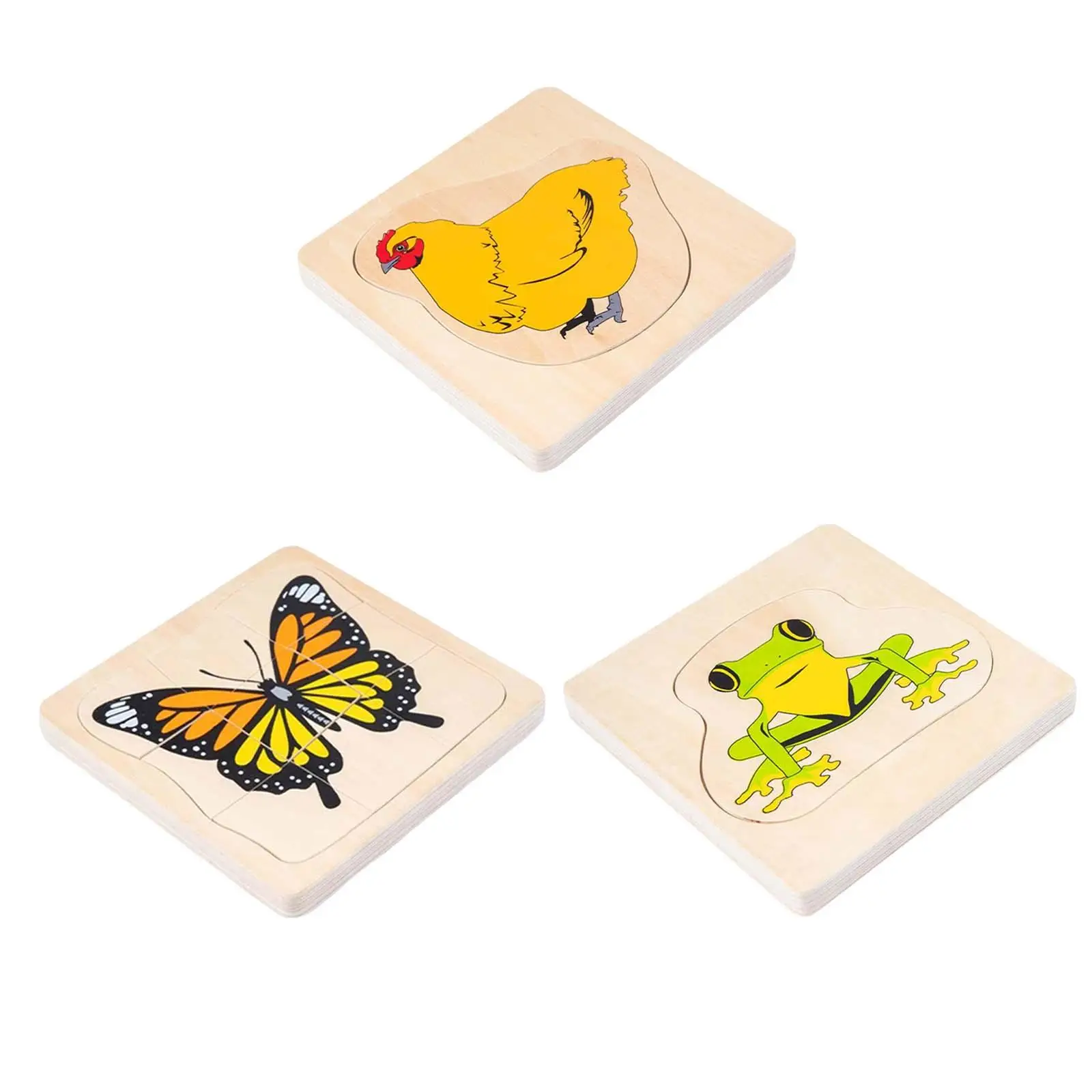 

Life Cycle Party Favors Teaching Tools Early Learning Toys for Preschool