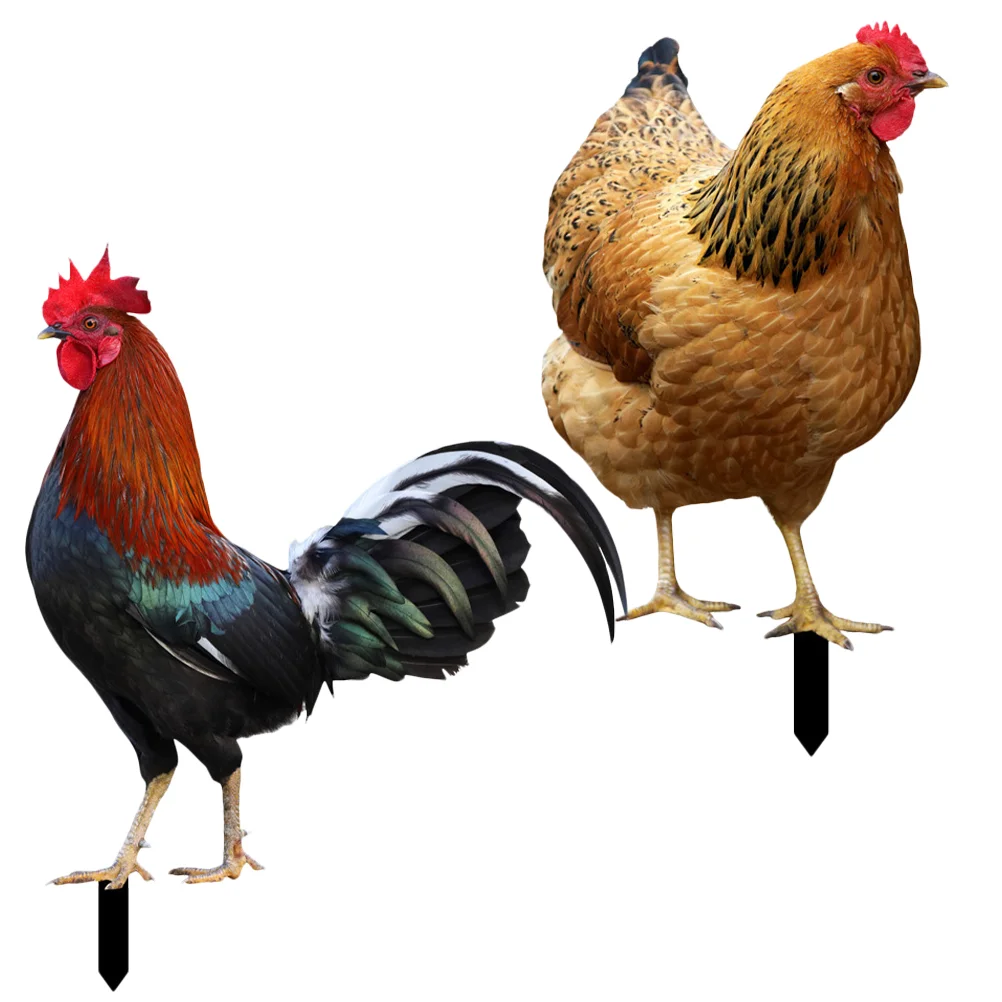 

2 шт., акриловые игрушки для курицы