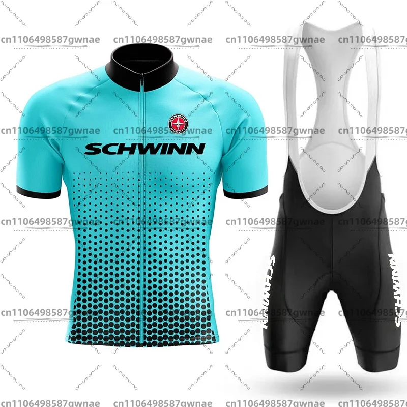 Фото Летний велосипедный трикотаж Schwinn, мужские шорты для шоссейного велоспорта, велосипедный костюм с короткими рукавами, три кармана со светоотражающими полосками №3