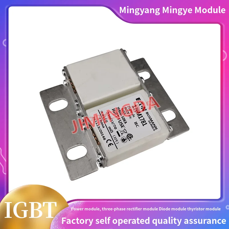 

Original fuse170M1781 170M1785 170M1786 170M1787 170M1788 170M1789 170M1790