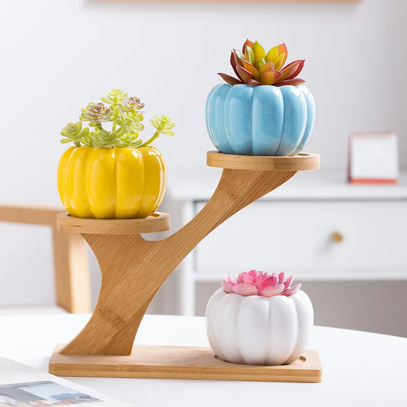 

Colorful meat basin ceramic pumpkin small flowerpot home gardening green plant ice crack thumb basin wholesale