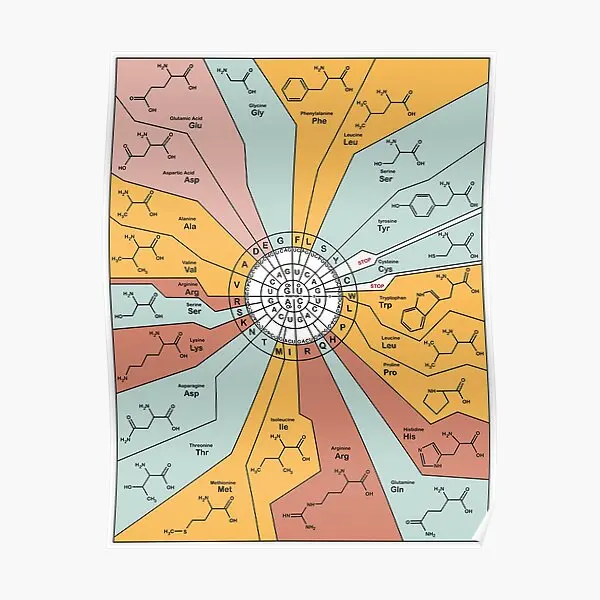 

Схема генного кода, плакат, Забавный художественный декор, печать на стене, современная живопись, Настенная картина, винтажное украшение для дома, комната без рамки