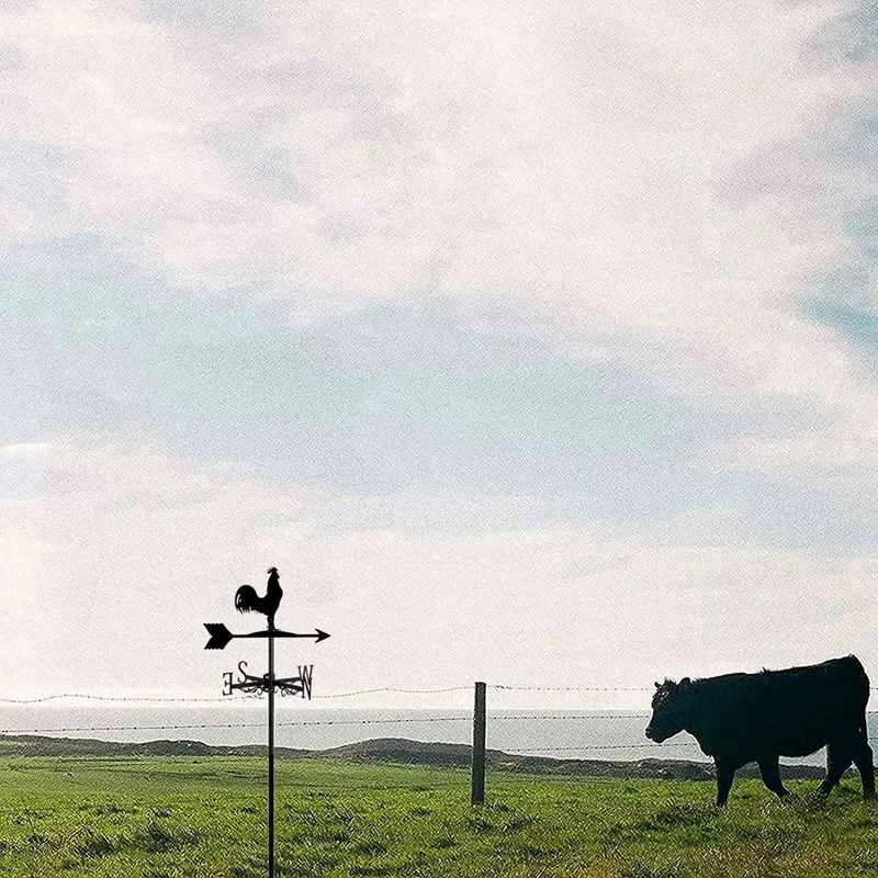 3-х погодовая лопатка с животными цыплятами садовый колышек направление ветра