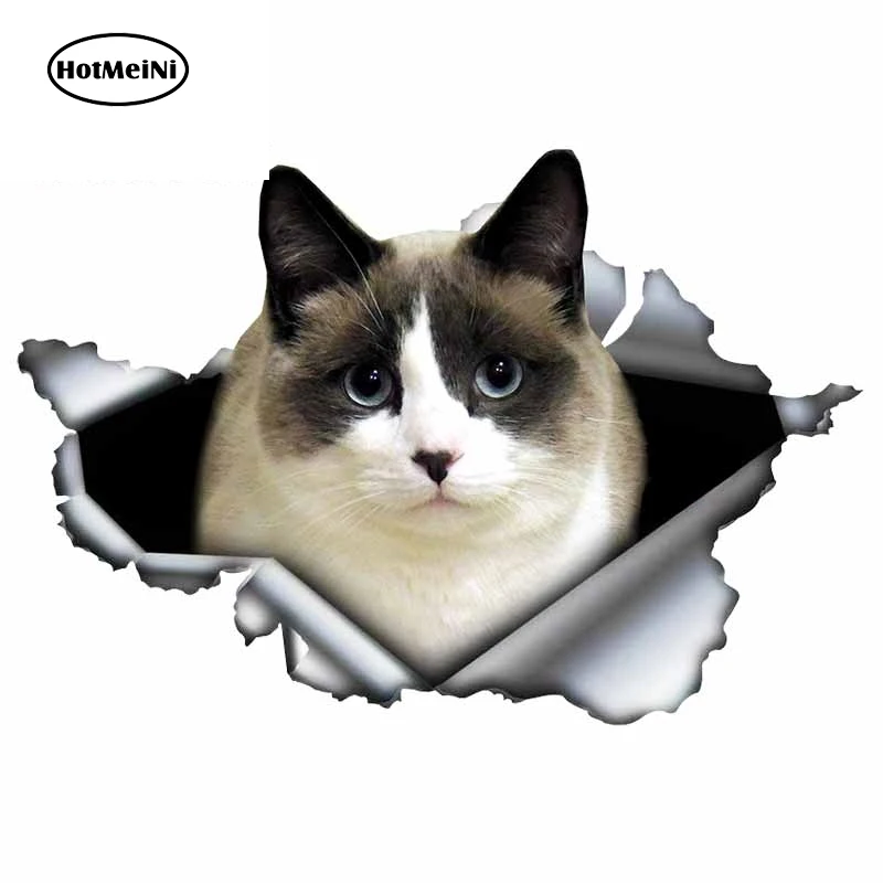 

13cm x 9cm For Cat Motorcycle Car Stickers Fashion Graphics Decal DIY Surfboard Waterproof Scratch-Proof Decoration