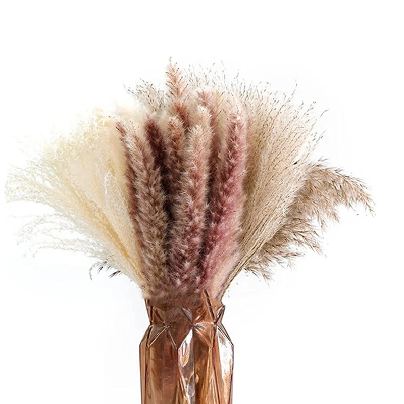 

Dried Pampas Grass Nature Phragmites Dried Flowers 65 Pcs Boho Home Decor Bouquet, Pampas Reed Grass Wheat