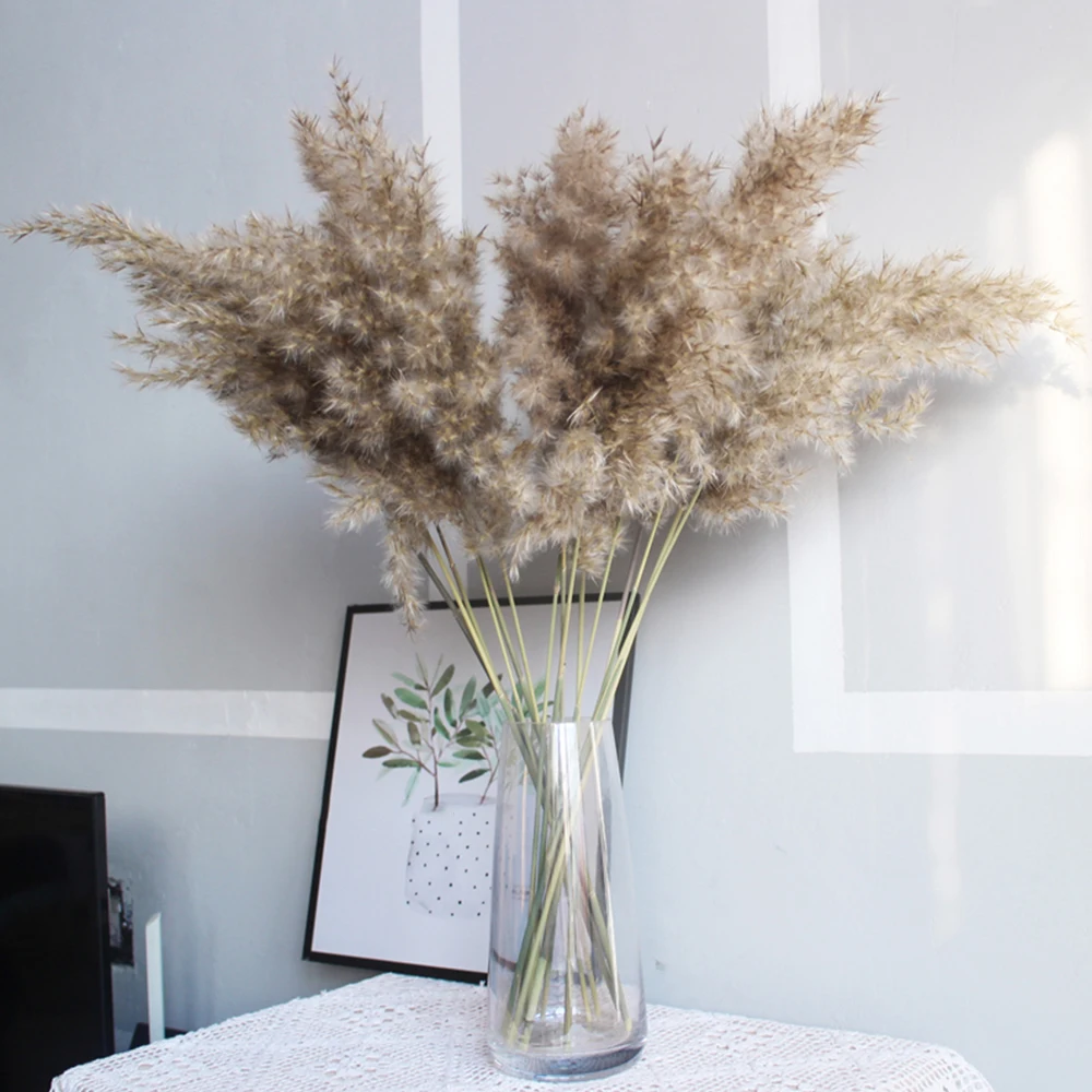 

50 Pcs Dry reed Pampas Grass Dried Flowers Decor Wedding flowers Bunch Natural Plants home decore Pampas Phragmites fake plants