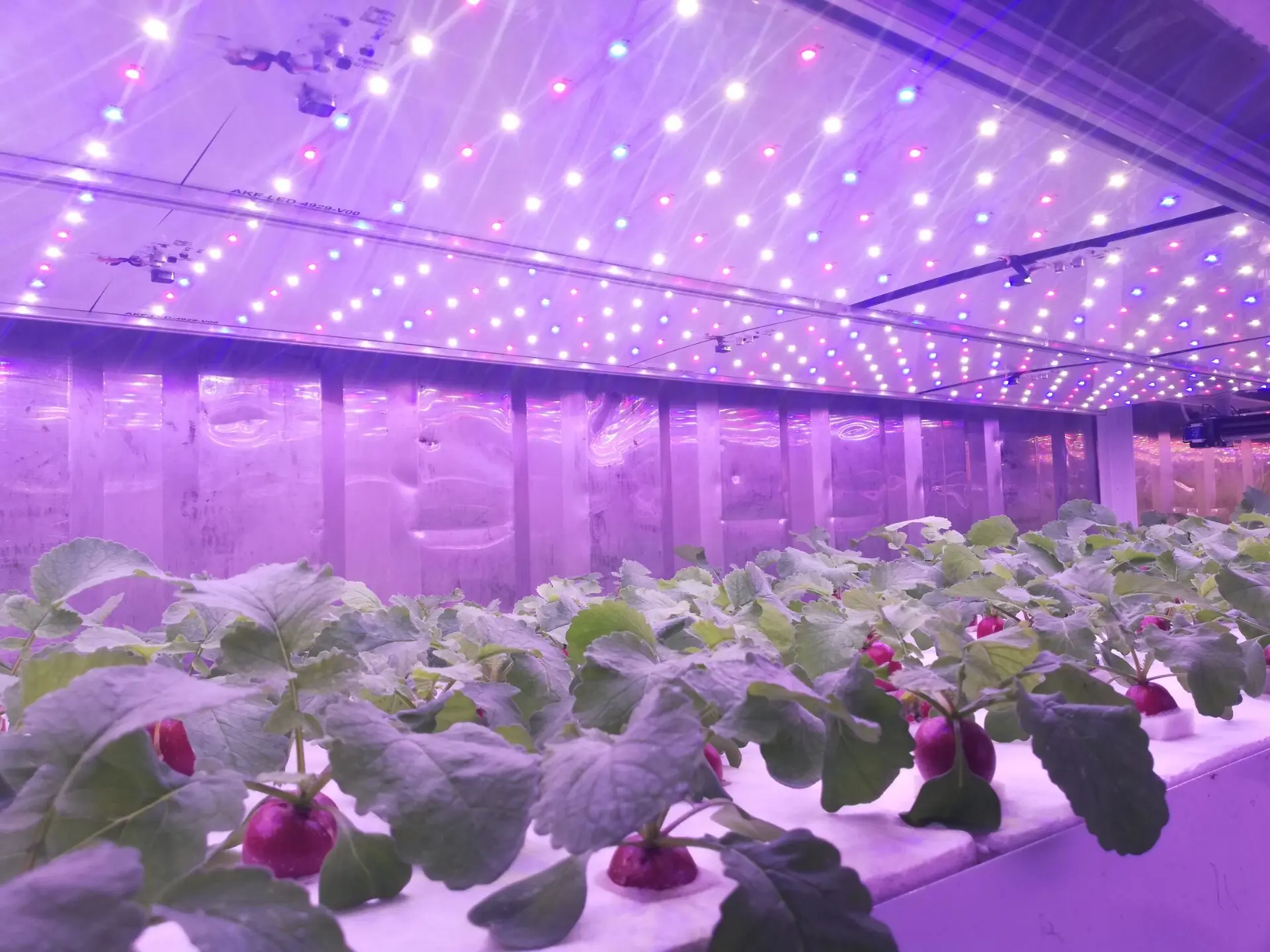 Рисунок 4 - Резервуар для роста растений Skyplant