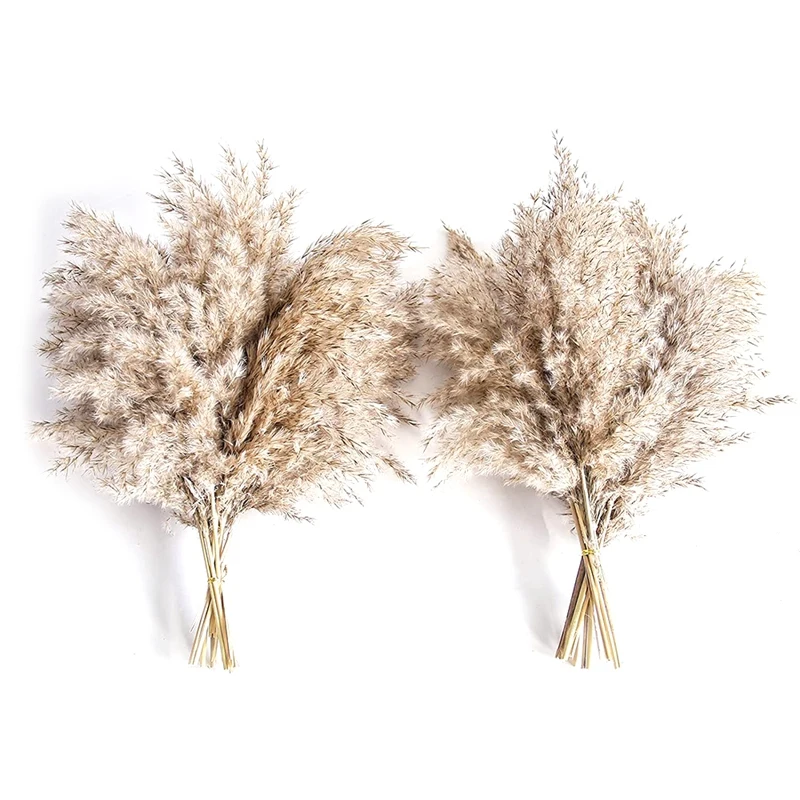

20Pcs Natural Dried Pampas Grass, Wild Fluffy Pompas Floral, Boho Decor Flowers Suitable For Outdoor Wedding Party Brown