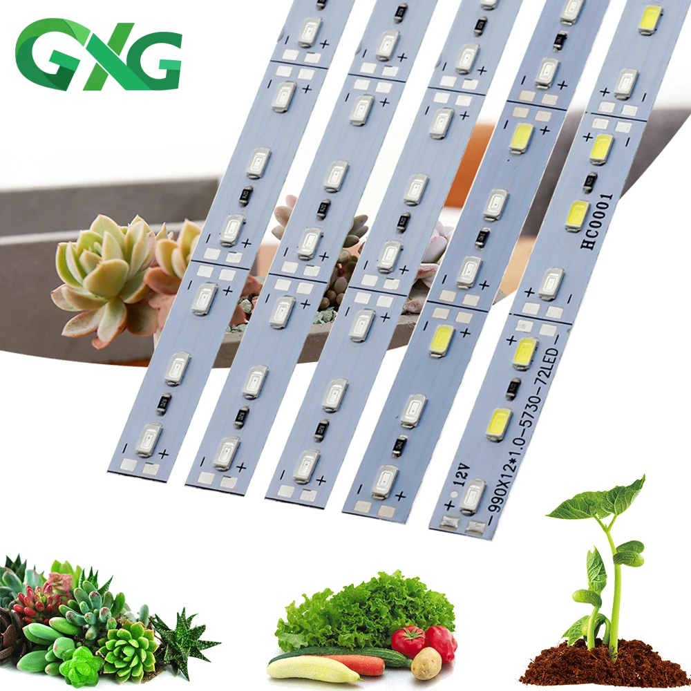 

GRA XGLOW LED Grow Light красно-белый-синий 10 шт.