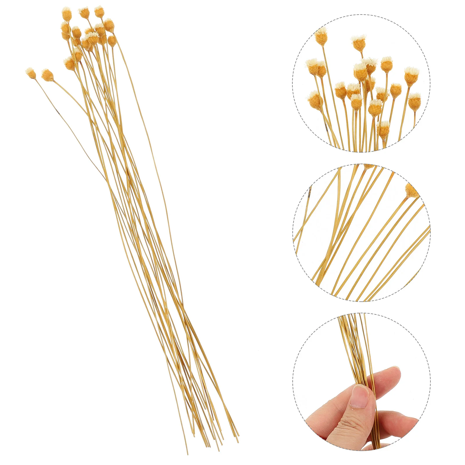 

20 Pcs Aromatherapy Bottle Rattan Diffuser Essential Oil Diffusers Reed Stick