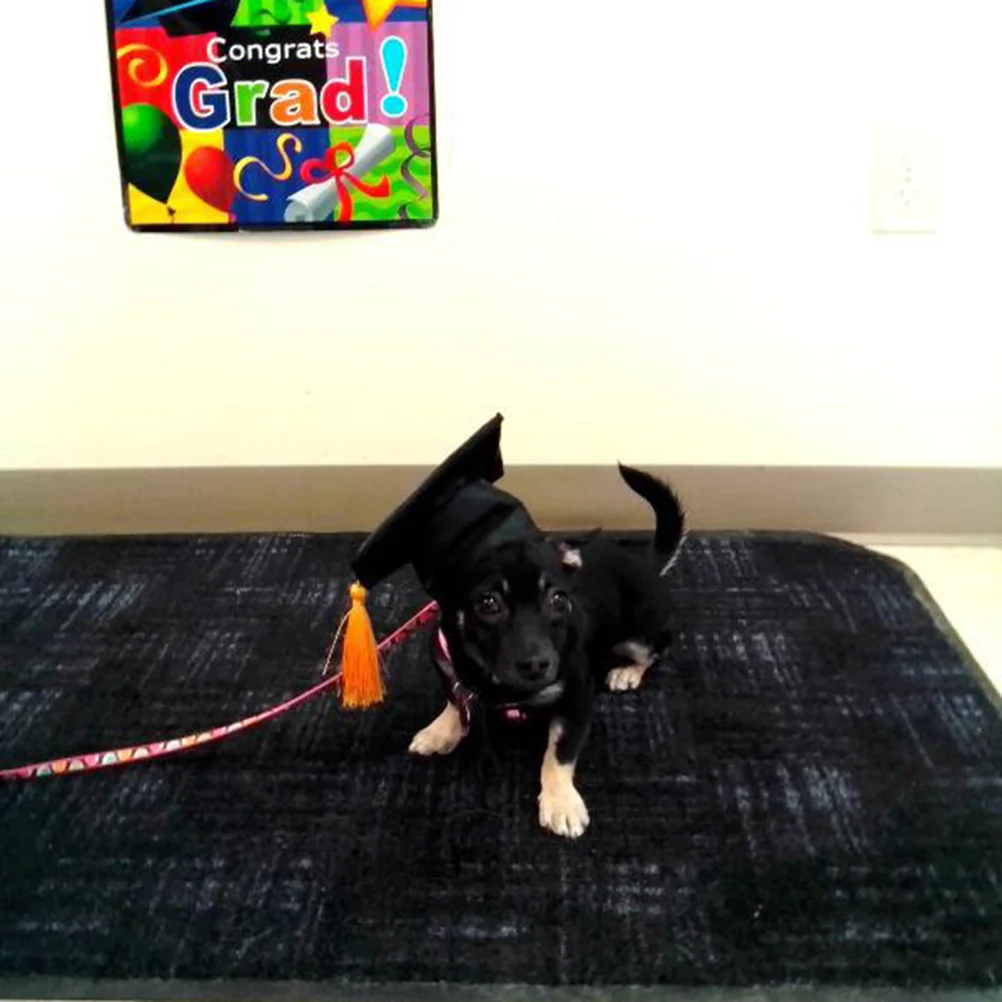 

Pet Graduation Caps Dog Hat Gown Puppysupplies Animal Catdr Bandanaoutfit