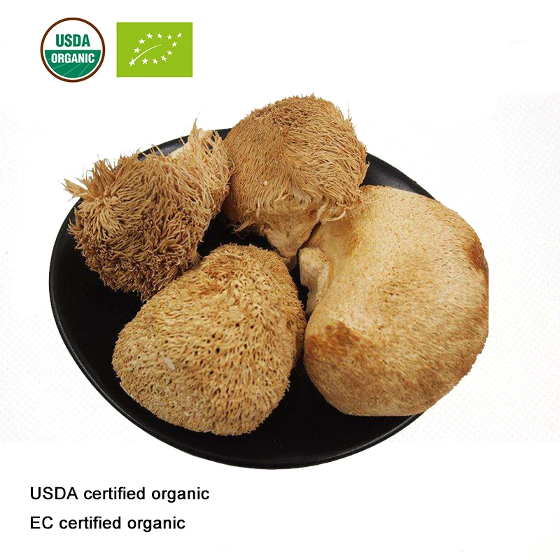 

Organic USDA and EC Certified organic Lion's Mane Mushroom powder Hericium Erinaceus,for Mental Health & Immune Support,Focus