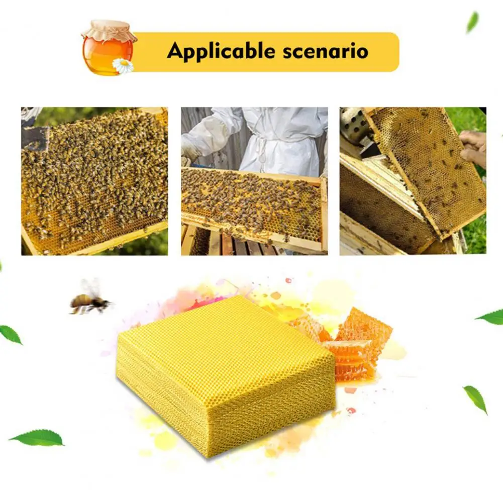 DIY Beeswax Candle Making Kit Naturally Sweet Multipurpose U