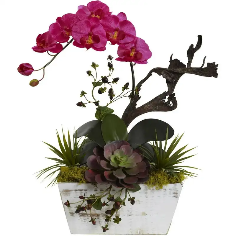 

И садовый суккулент с белым горшок для мытья