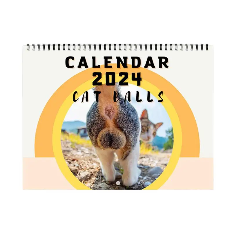 

Календарь с надписью «Cat But Hole» для семьи, календарь 2024, фотографии с забавными кошками и милыми кошками, ежемесячный настенный календарь для любителей животных