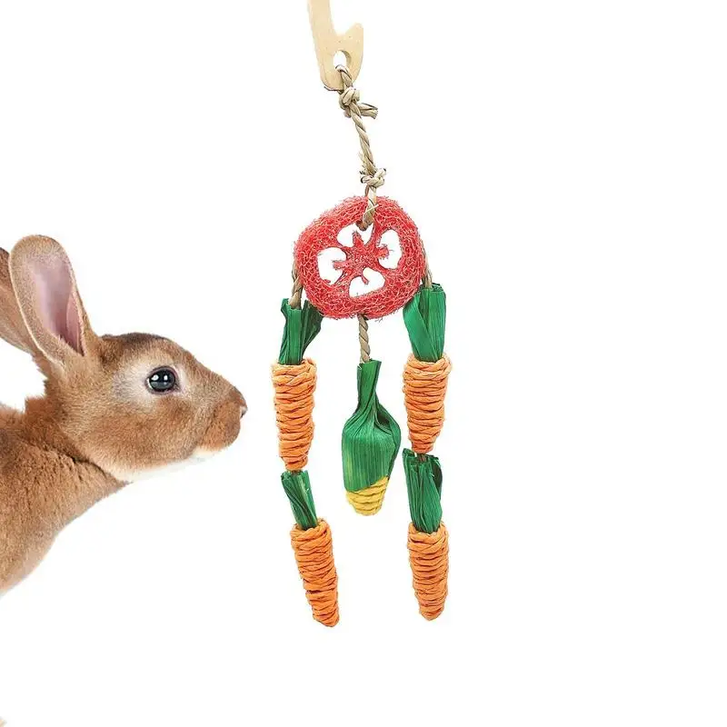 

Parrot Chewing Toy Pendant Skewer Toy For Birds Cage Carrot Shape Chewing Toy For Cockatiels Parakeets Medium Parrots Budgies