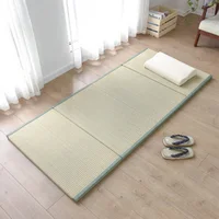 Home Folding Tatami Mattress Plain Weave Simple Mobile Floor Moisture Absorption Deodorant Straw Mat Dormitory Floor