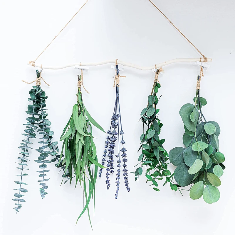 

4 Species Natural Fresh Eucalyptus & Lavender Wall Hanging for Shower Decor Home Decor Natural | Real Live Eucalyptus Leaves