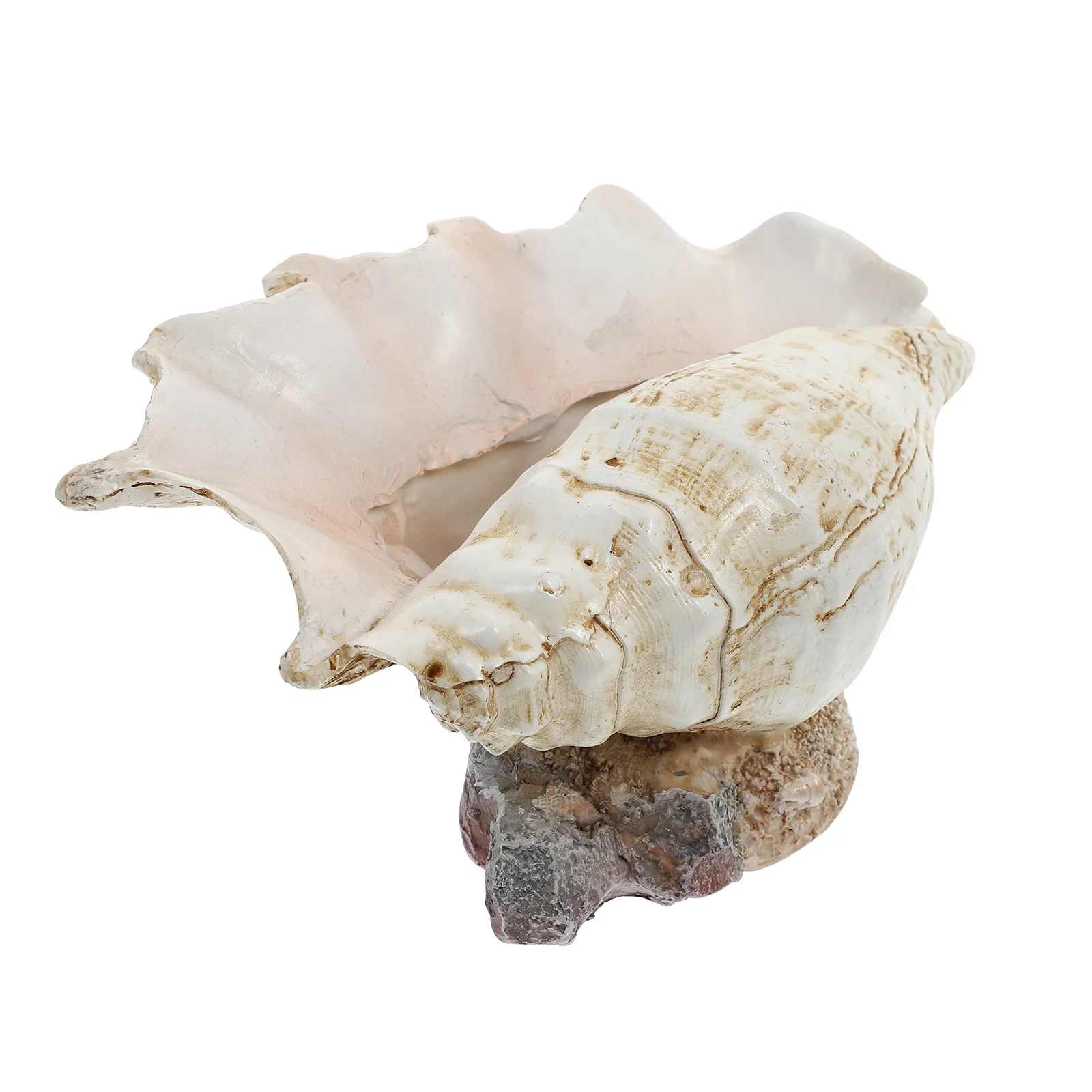 

Pot Flower Plantersucculent Potscontainer Seashell Bonsai Conchresin Mini Indoor Decor Holdercute Shell Shape Decorative