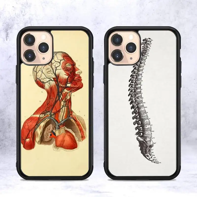 

RuiCaiCa Medical Human Anatomy Phone Case Silicone PC+TPU Case for iPhone 11 12 13 Pro Max 8 7 6 Plus X SE XR Hard Fundas