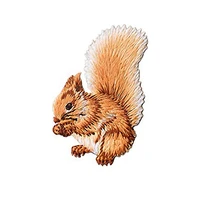 cute squirrel iron on patches for clothing animal embroidered badge patches on clothes stickers applique jeans t shirt jackets