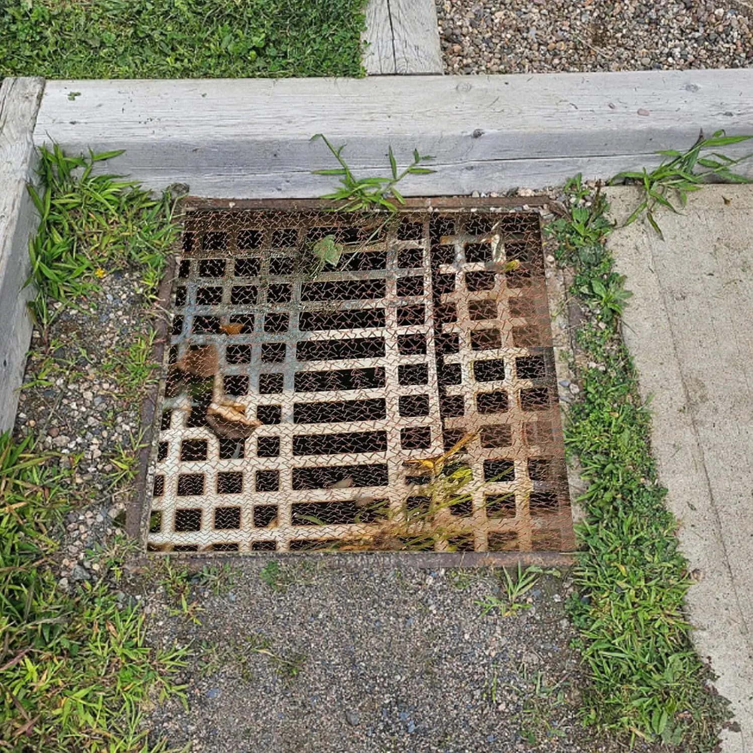 Портативная Медная Сетка Для Сада Защита От Насекомых U-образные Ножки Дизайн