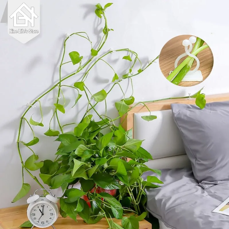 

Self-adhesive Fixed Buckle Plant Climbing Wall Hook Fastener Tied Fixed Rattan Buckle Garden Plant Climbing Wall Rattan Clip