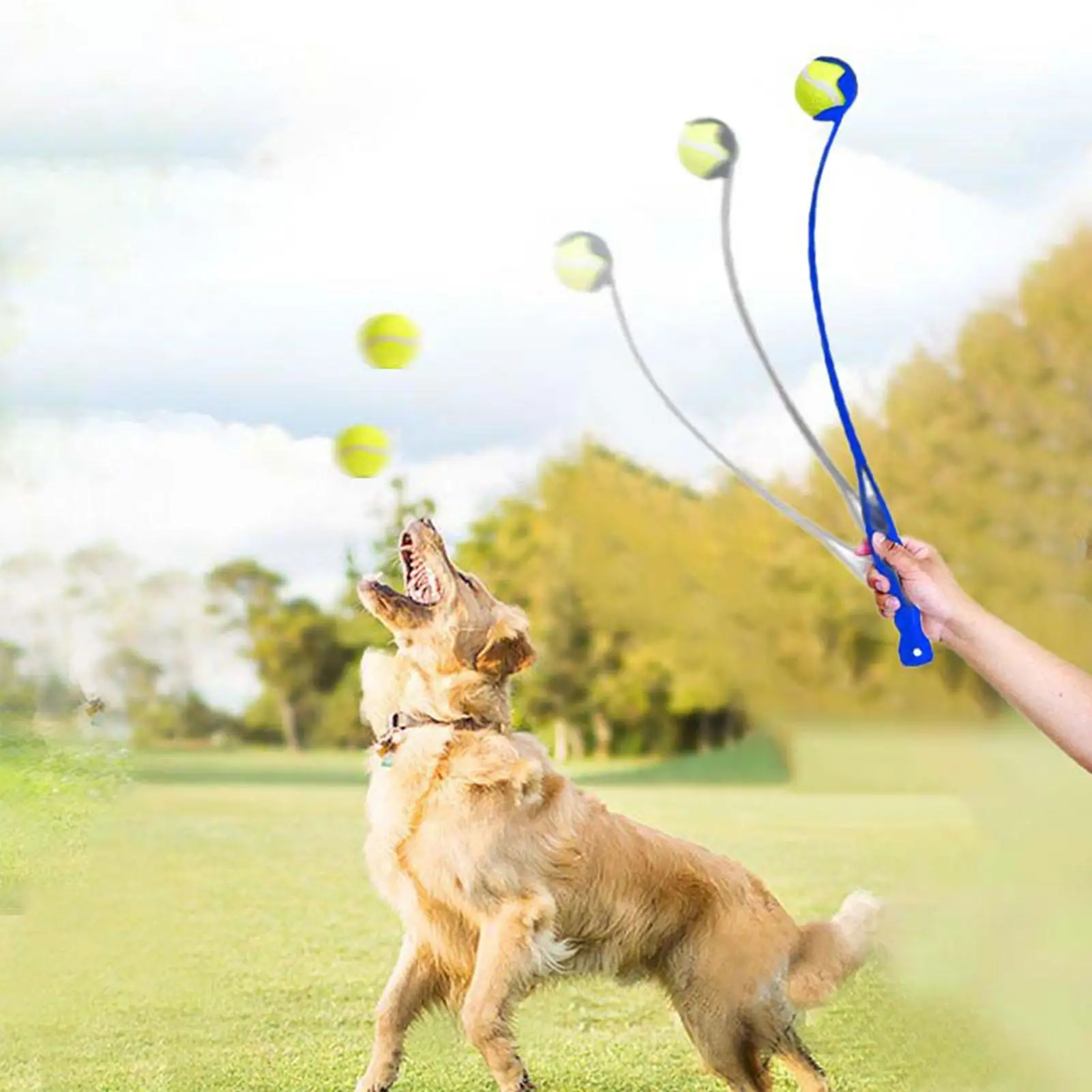 

Dog Ball Launcher | Ball Air Strike Thrower With a 2.8Inch Ball | Tennis Ball Thrower for Exercise T