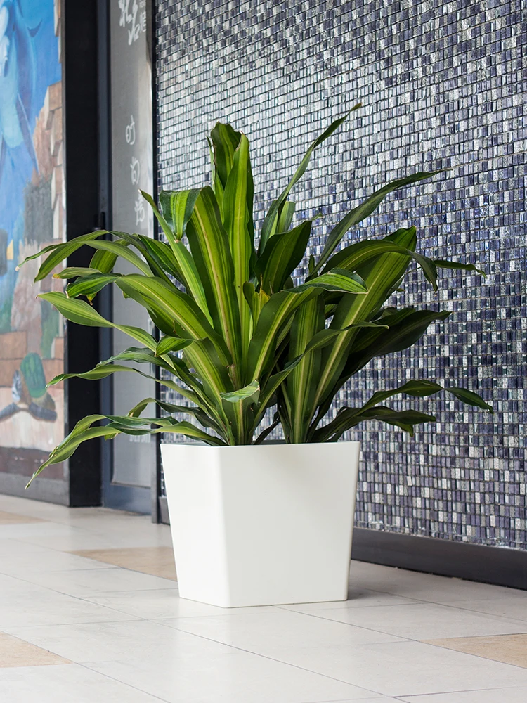 

23.5X22X28.5cm Leizisure New Living Room Floor Lazy Flowerpot Nordic Simple Square High-grade Self-absorbent Flowerpot Resin