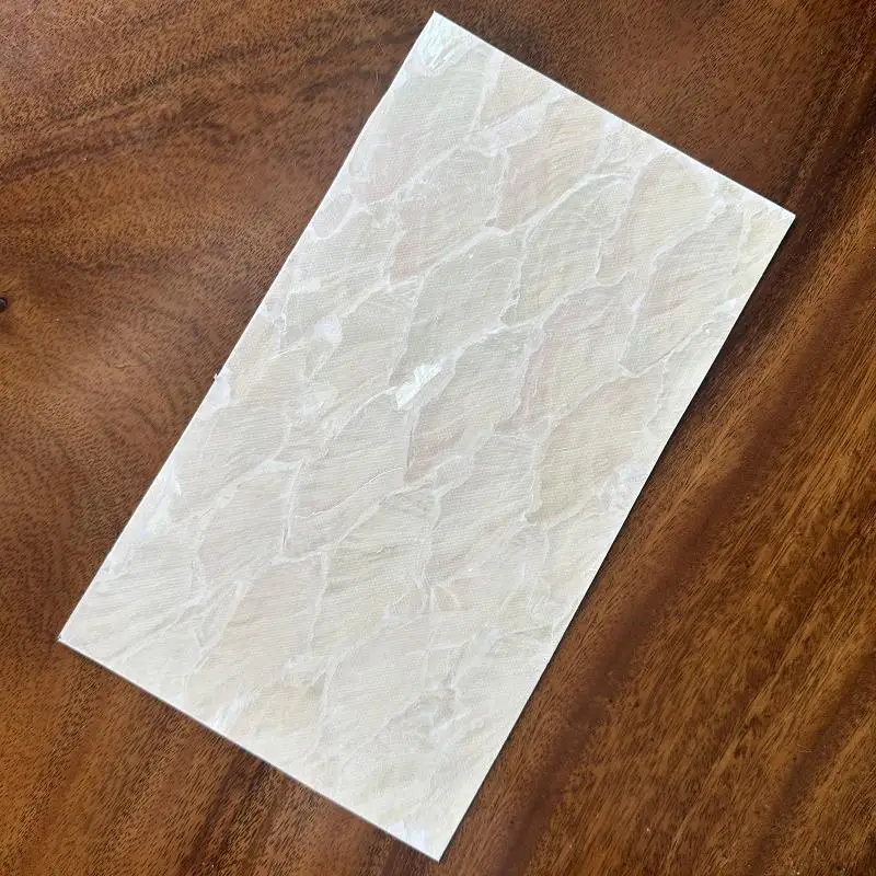 

Натуральная ракушка морского ушка, 240x140 мм