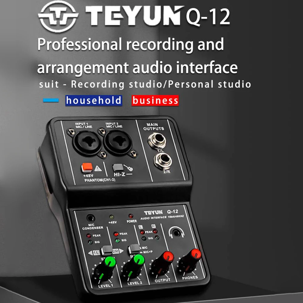 

Q-12 Professional Microphone Condenser Sound Card PC Computer Audio USB 2.0 Electric Guitar Live Broadcast Recording Studio