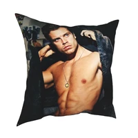 sebastian stan blankets two side printing pillowcase soft polyester cushion cover gift pillow case cover home zippered 45x45cm