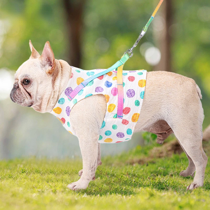 

Pet's Chest-Back Hand Holding Rope Small and Medium-Sized Dogs Cat Vest Dog Leash Cat Dog Hand Holding Rope Suit