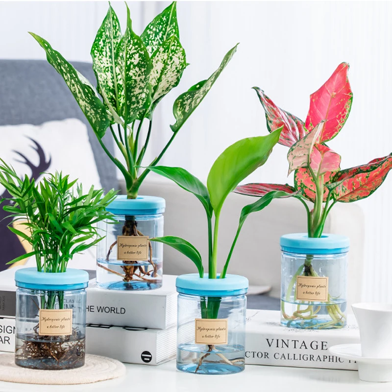 

Прозрачный гидропонный цветочный горшок, фотоемкость, пластиковые настольные растения, фотография, 1 шт.