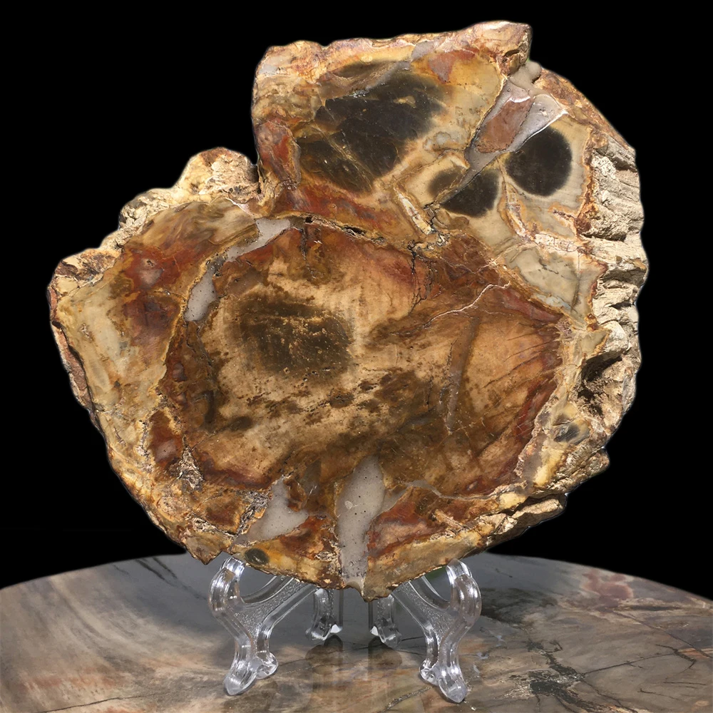 

Woodstone Natural Quartz Crystal Specimen Slab Souvenir Gift Ore Mineral Gem Sample Ornament Home Decoration Meditation Energy
