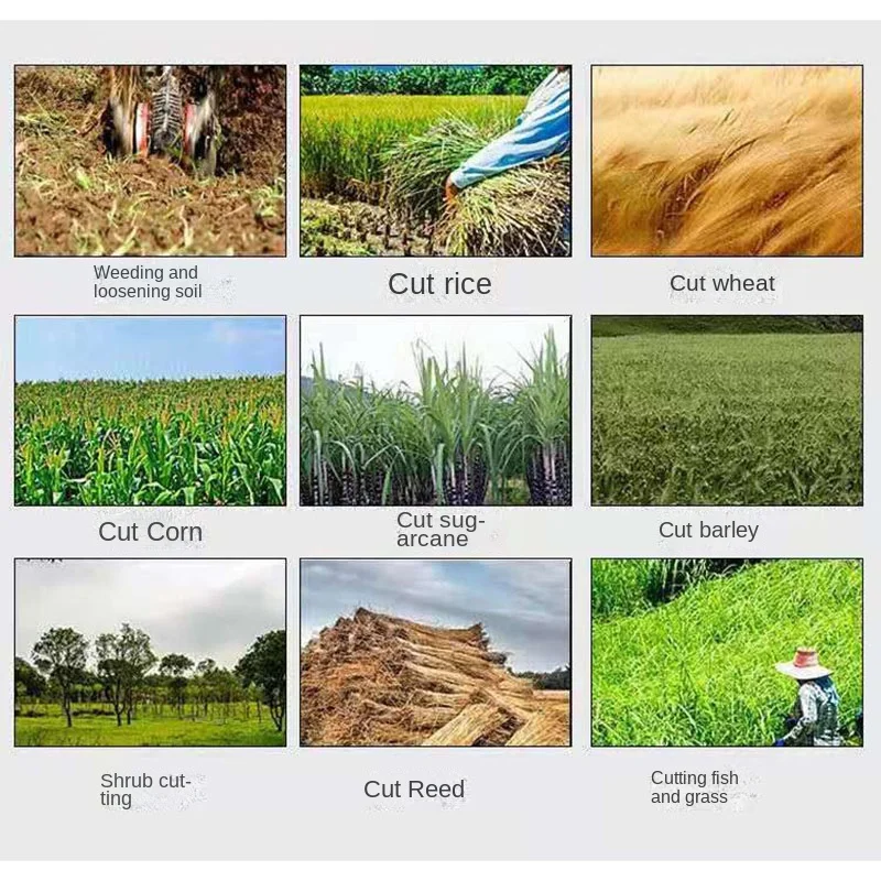 18000 Вт Высокое качество 6 в 1 Многофункциональный рюкзак кусторез 4-тактный