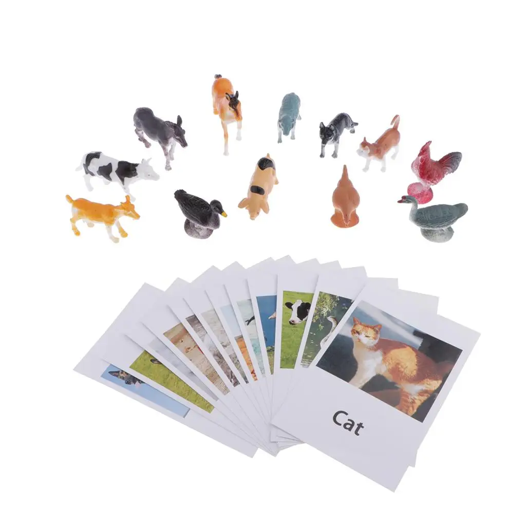 Poultry Animals Model Card Miniature Figurine Improve Children Learn Ability