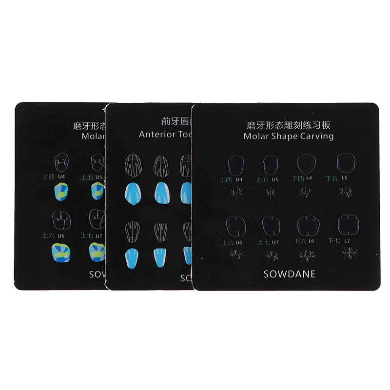 3 размера искусственное наполнение шаблон Морфология зубов доска анатомическая