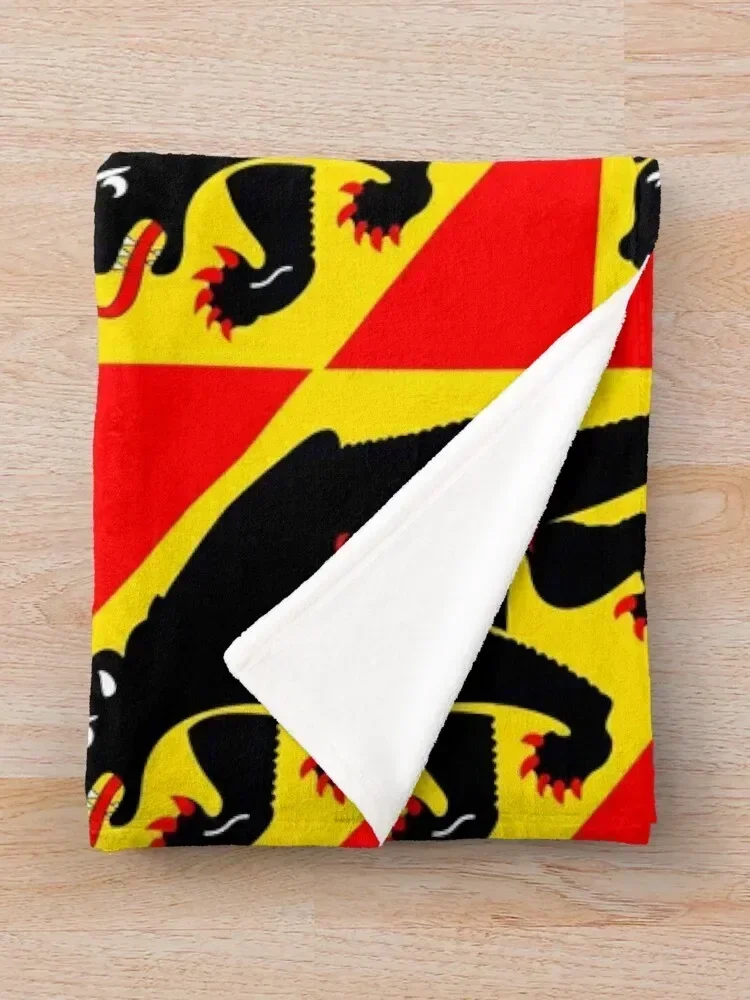 Одеяло с флагом Берна Кантона милые клетчатые одеяла для волос декоративные